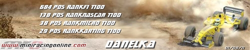 Firma danelka