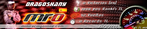 Firma dragoshany