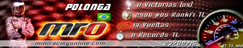 Firma Polonga